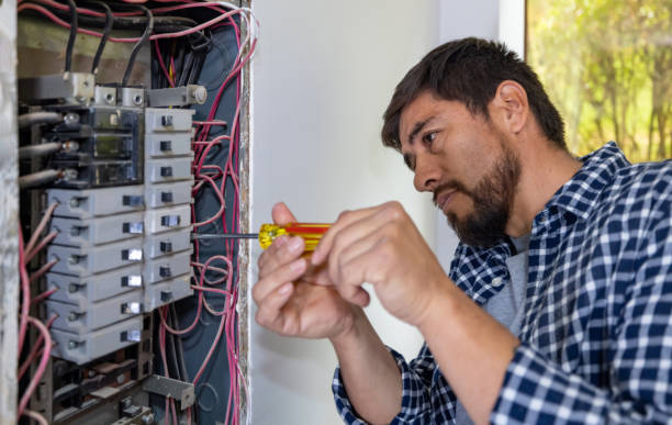 Best Local Electrician Companies  in Rolla, ND